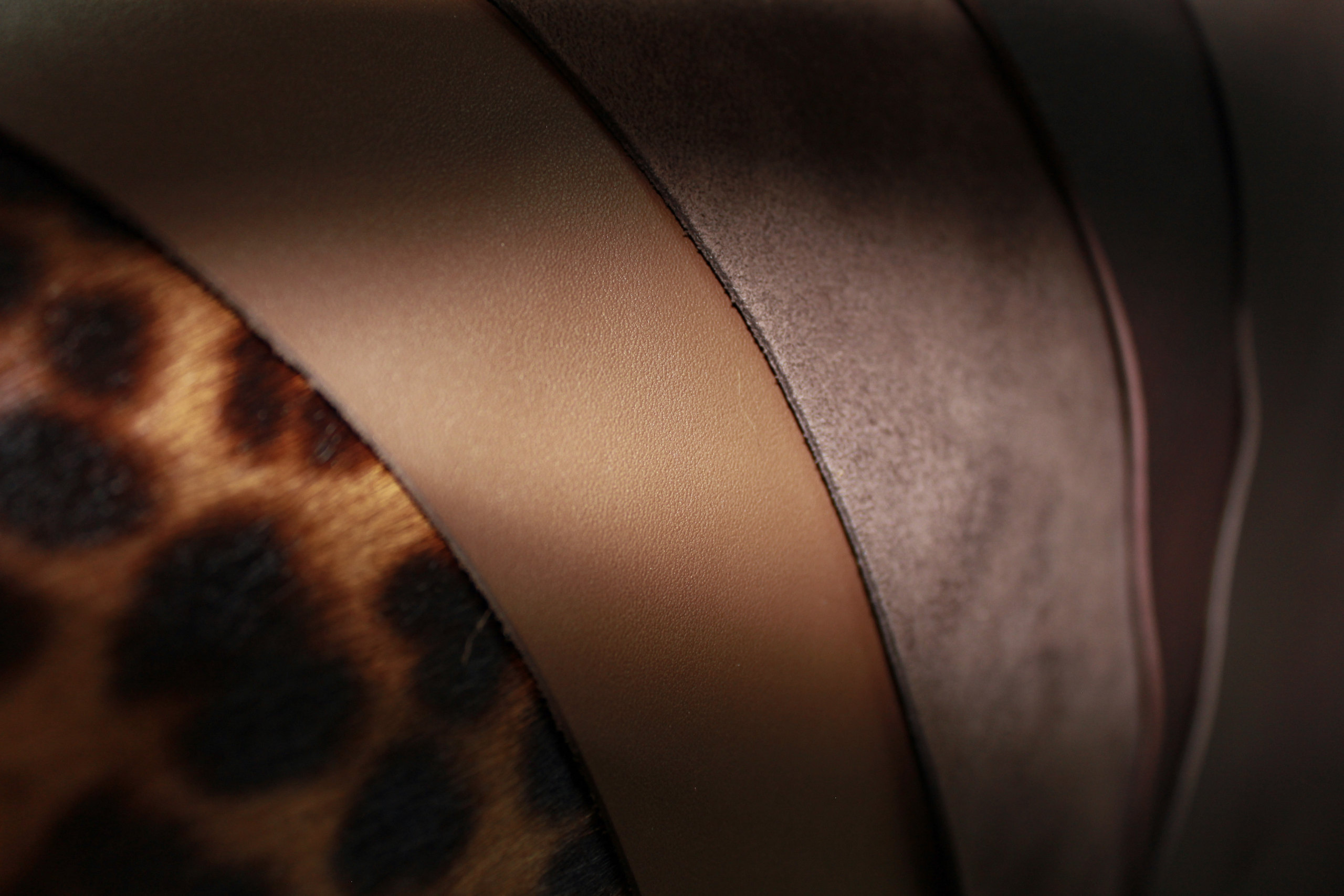 Calf leather, suede and leopard-print hair-on leather